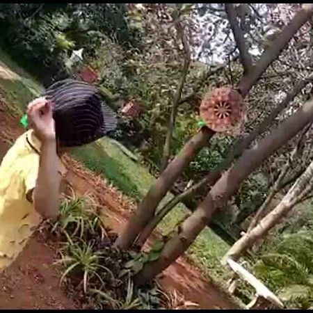 Lobville Homestay Karjat Εξωτερικό φωτογραφία