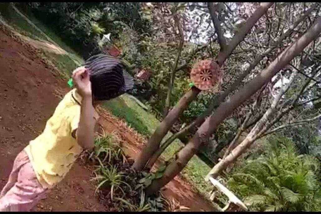 Lobville Homestay Karjat Εξωτερικό φωτογραφία
